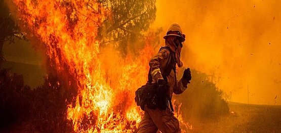 Special Petitions for the Victims of the California Wildfires